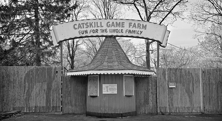 CATSKILL01.jpg